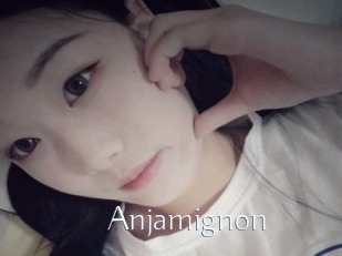 Anjamignon