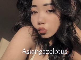 Asiangazelotus