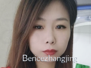 Bericezhangjing