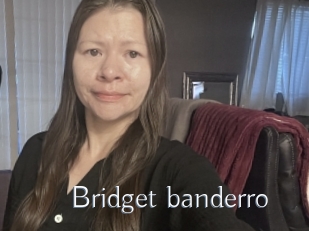 Bridget_banderro