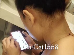 CatCat1668