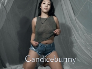 Candicebunny