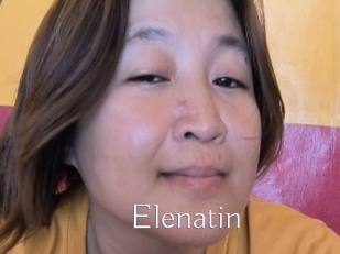 Elenatin
