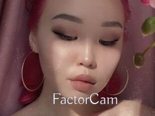 FactorCam