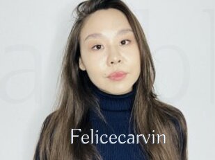 Felicecarvin