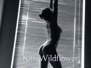 KittyWildflower