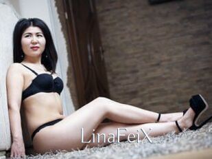 LinaFeiX