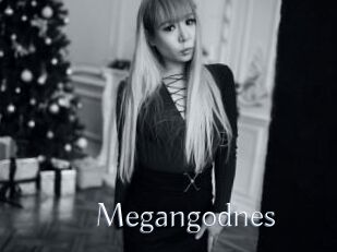 Megangodnes