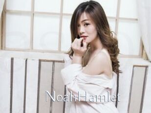NoahHamlet