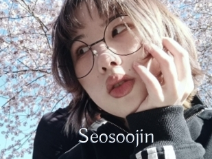 Seosoojin
