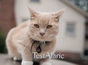TestAlaric