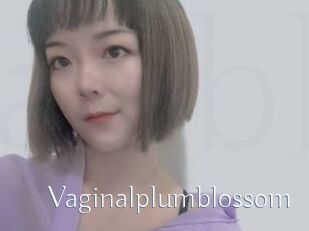 Vaginalplumblossom