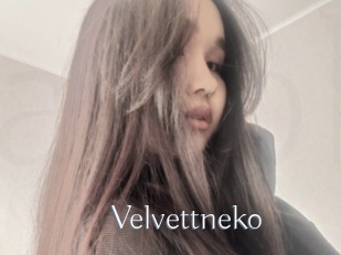Velvettneko
