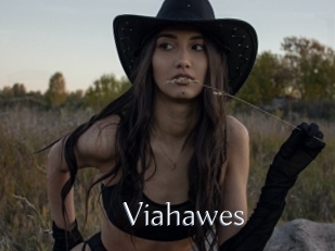 Viahawes