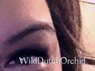WildDutchOrchid