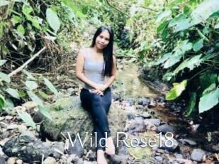 Wild_Rose18