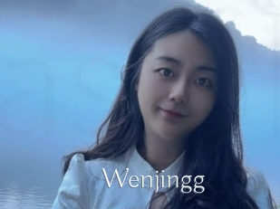 Wenjingg