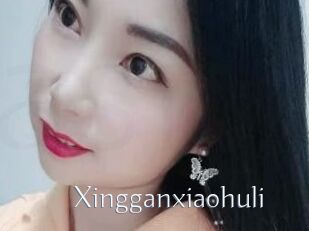 Xingganxiaohuli