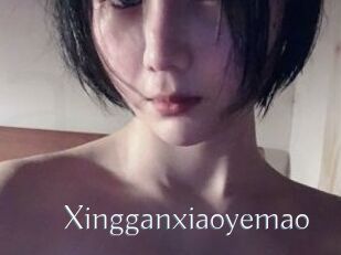 Xingganxiaoyemao