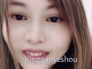 Xingganyeshou