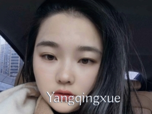 Yangqingxue