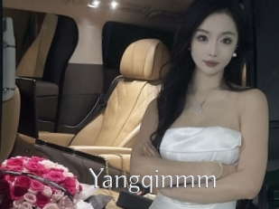 Yangqinmm
